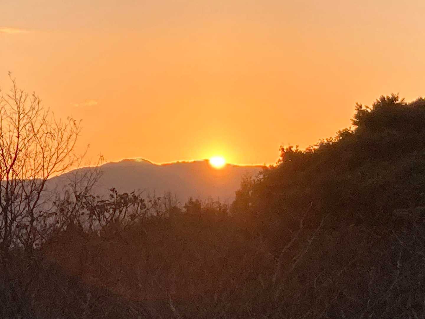 だいぶ出てきた。朝熊山よりわずかに南から出ます