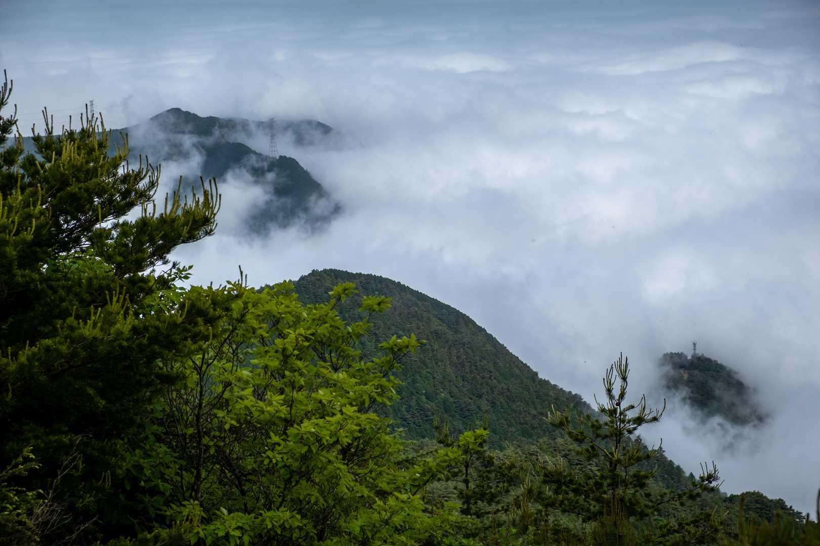 雲海！