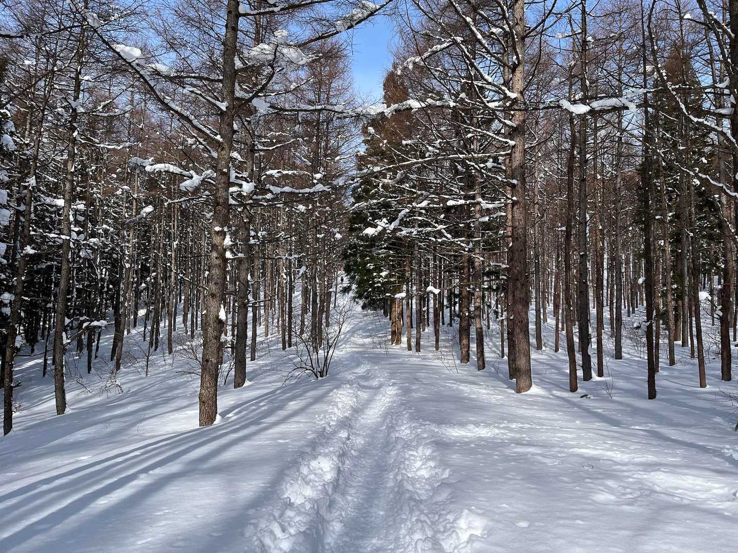北泉ヶ岳 往復コースの写真