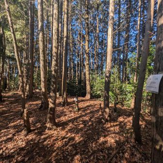 さて、旗尾岳の頂上標識は幾つあるでしょう？