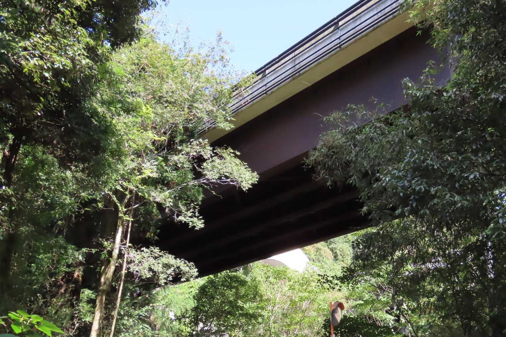 東海環状自動車道をくぐって・・・
小川を流れる水の音と、東海環状自動車道を走る車の音と、鳥のさえずりと、私が歩く音が響いて、てくてくと。
駐車場に戻ります。
また来るねー