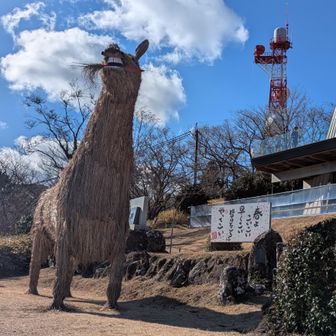 真下から撮影。