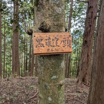 字が綺麗な人が作った道標