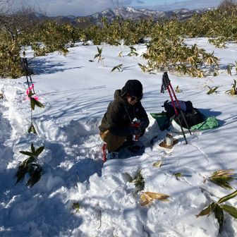 コーヒー職人のはなきさん