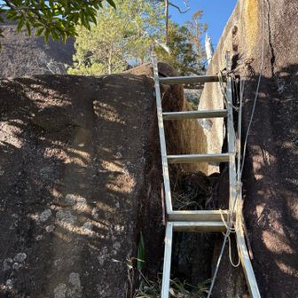 脚立を利用した梯子