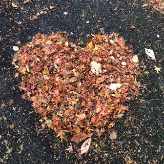 帰り道。落葉で遊んでみる。