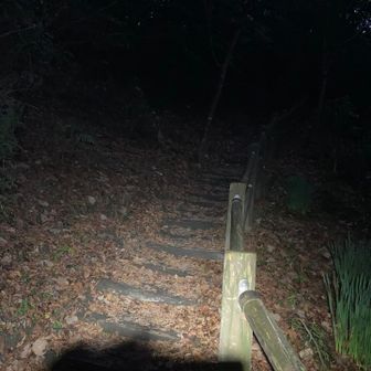 降ったり止んだりしながらどっぷりと暗くなる1人だったら怖くて無理😅