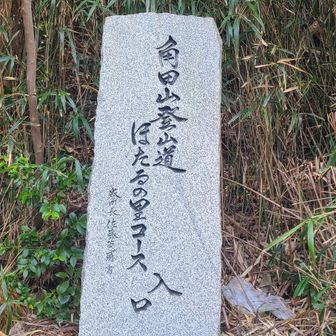 下山👍️
後はロード😭