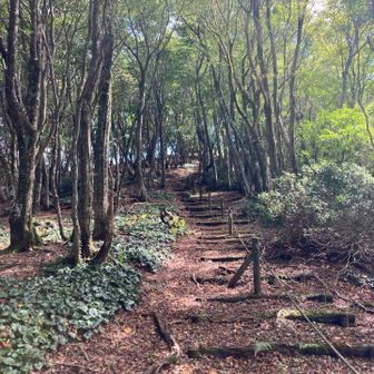 最後の登り
