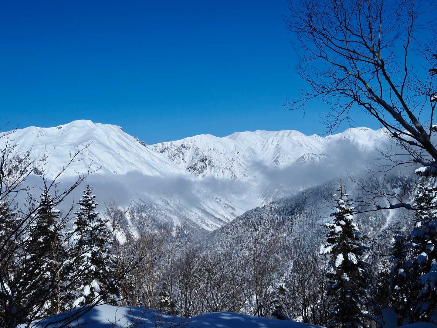 双六岳などなど。やっぱり北アルプスは白さが違う