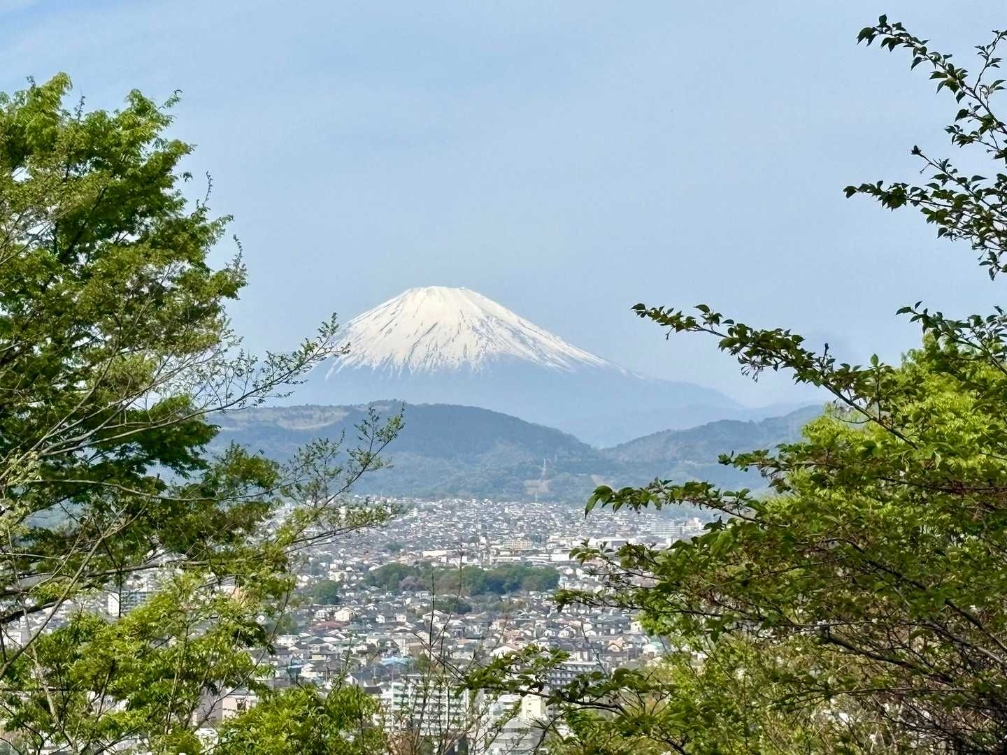 弘法山-吾妻山コースの写真