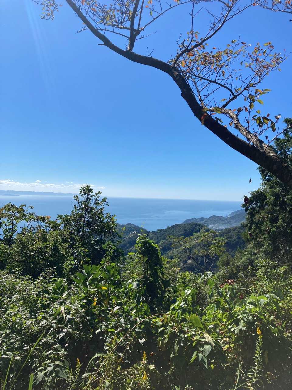 不動山（長崎県）の写真