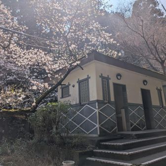 洋式トイレにトイレットペーパーあり