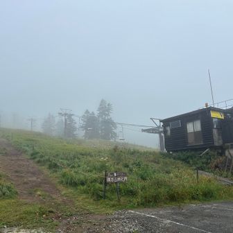 前回はスカイレーターで登ったけど、今回は一応山登りという名目で、標高差170mほどを登山⁇