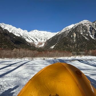テント張りましたー⛺️