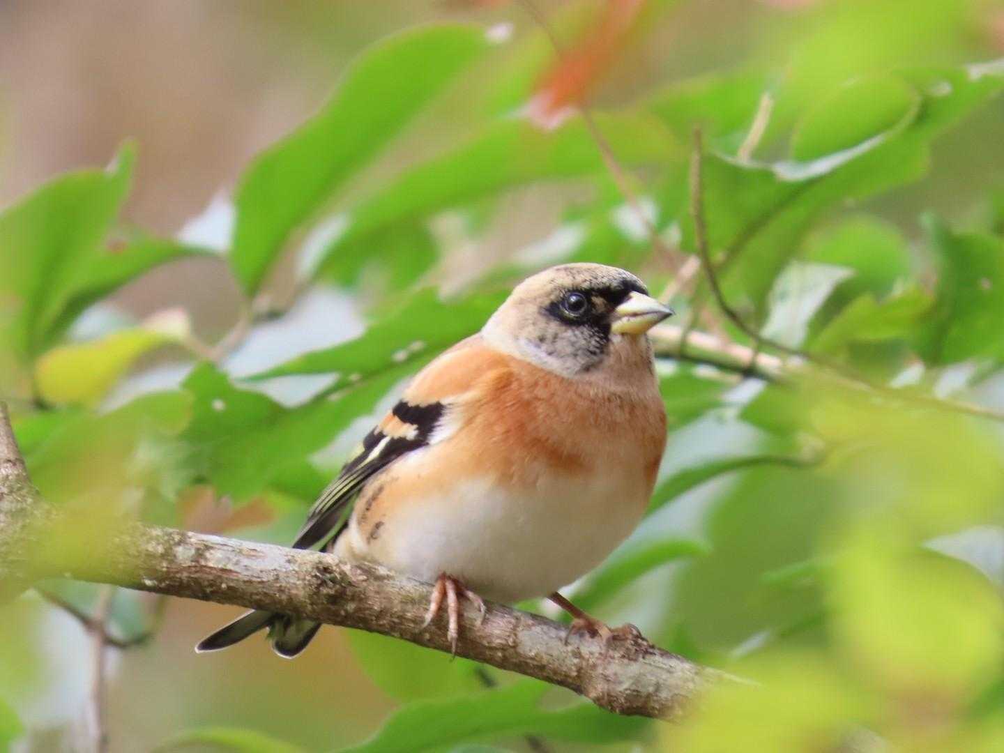 今日1番の写真📷️です