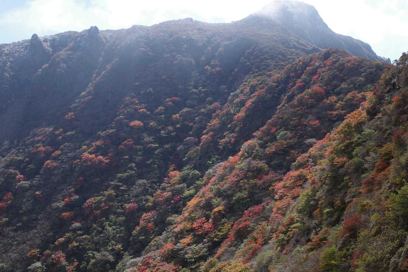 逆光ですがここもキレイです🍁