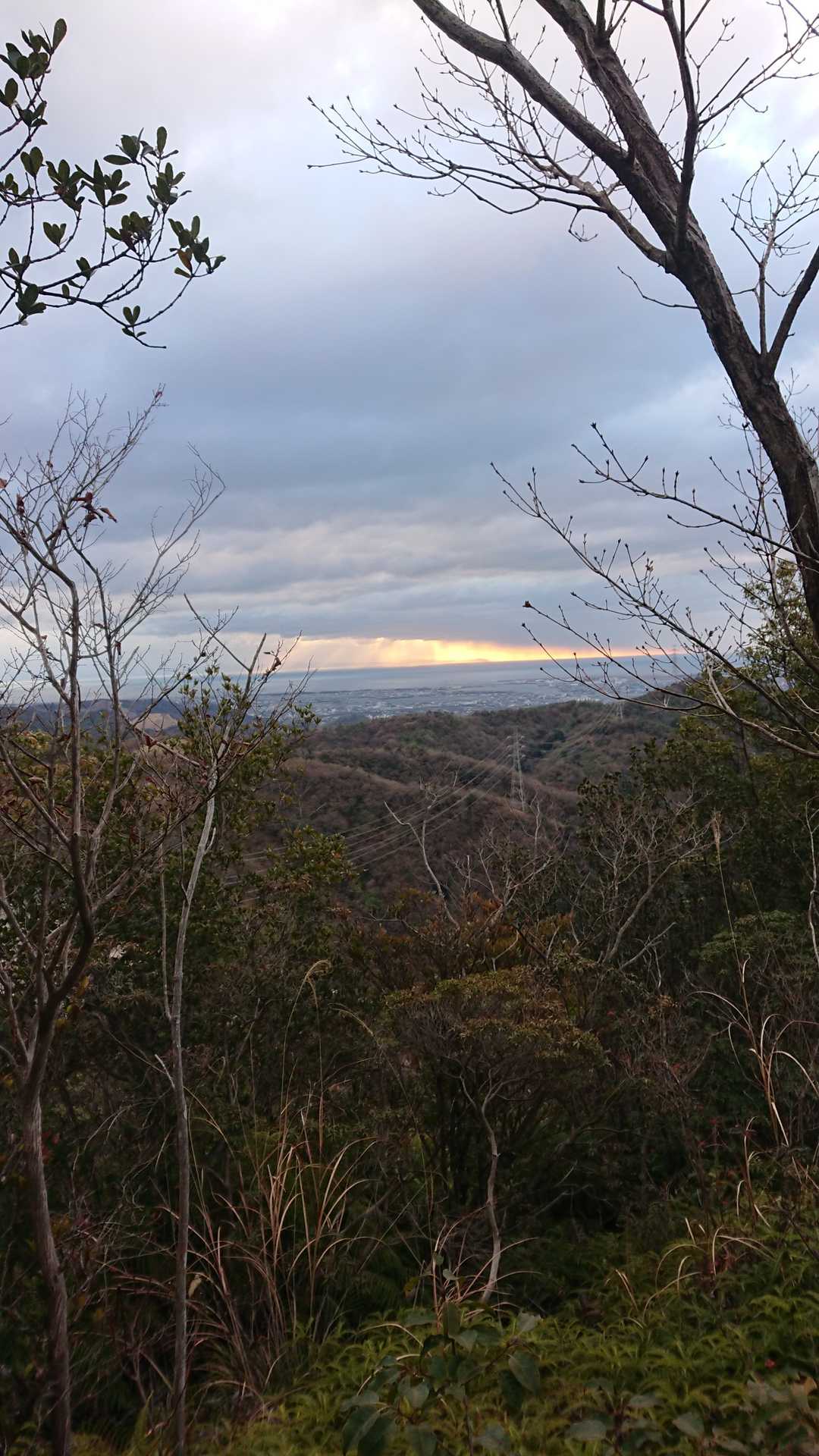 天円山 往復コースの写真