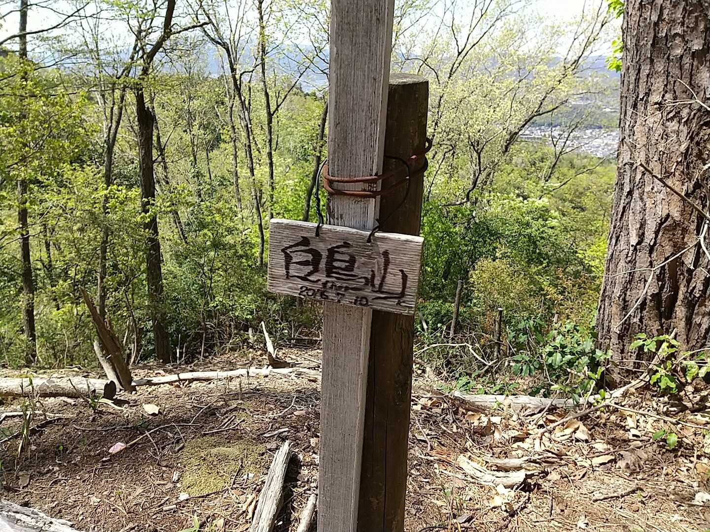 白鳥山の写真