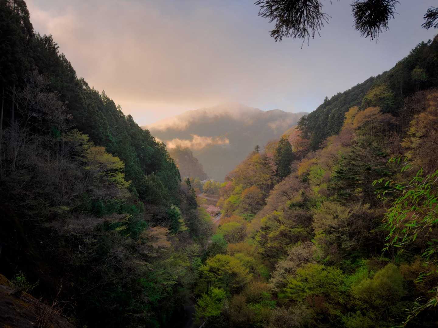 朝焼けに晒される御前山（たぶん）