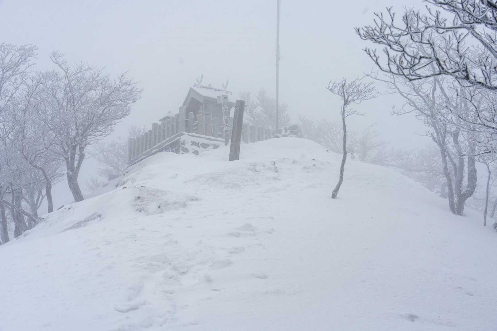 わ！
ホワイトな世界突入☃️