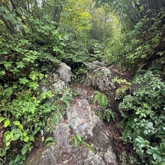 the 山道です🪨⛰️