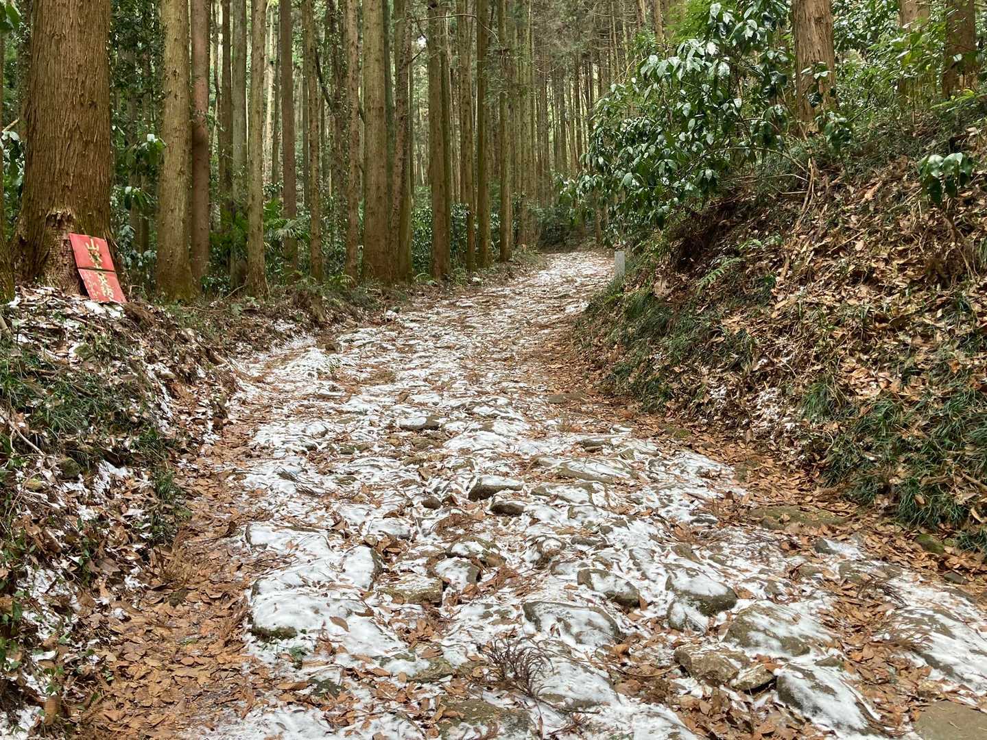 羽黒山神社-羽黒山-羽黒山入口 縦走コースの写真