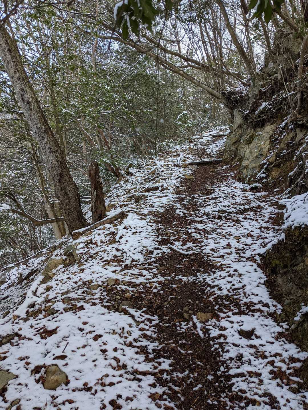 かなりあるきやすい登山道です