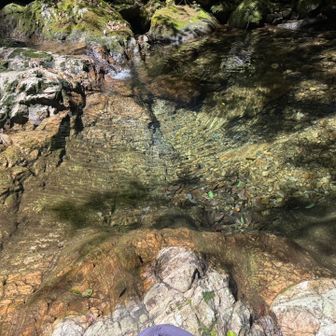 夏道で無事林道まで戻り、気持ち良さそうな所で洗髪冷え冷え🫠