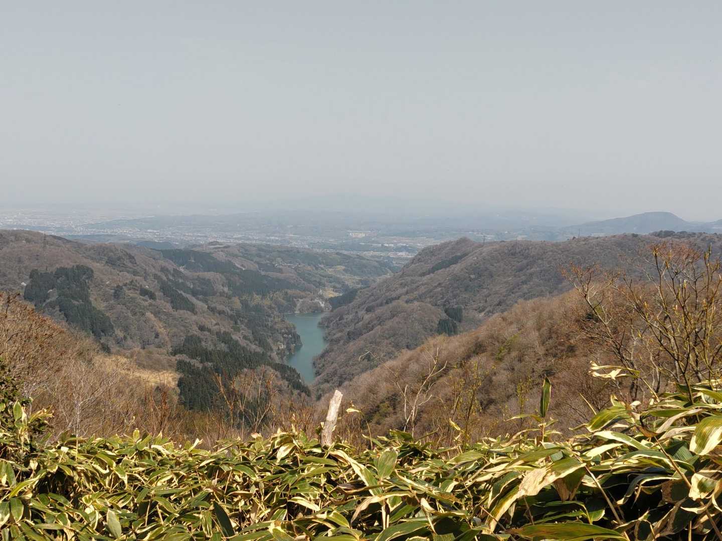 月惜峠-月惜山 往復コースの写真
