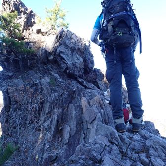 いやぁ〜
見てらんない