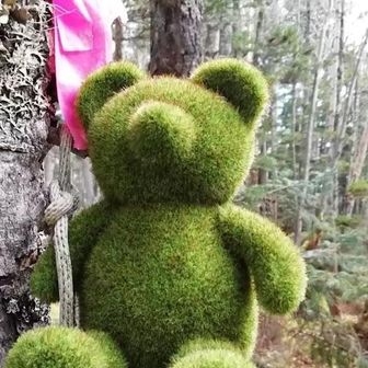 すってんころりん