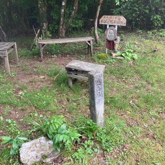 開けた山頂