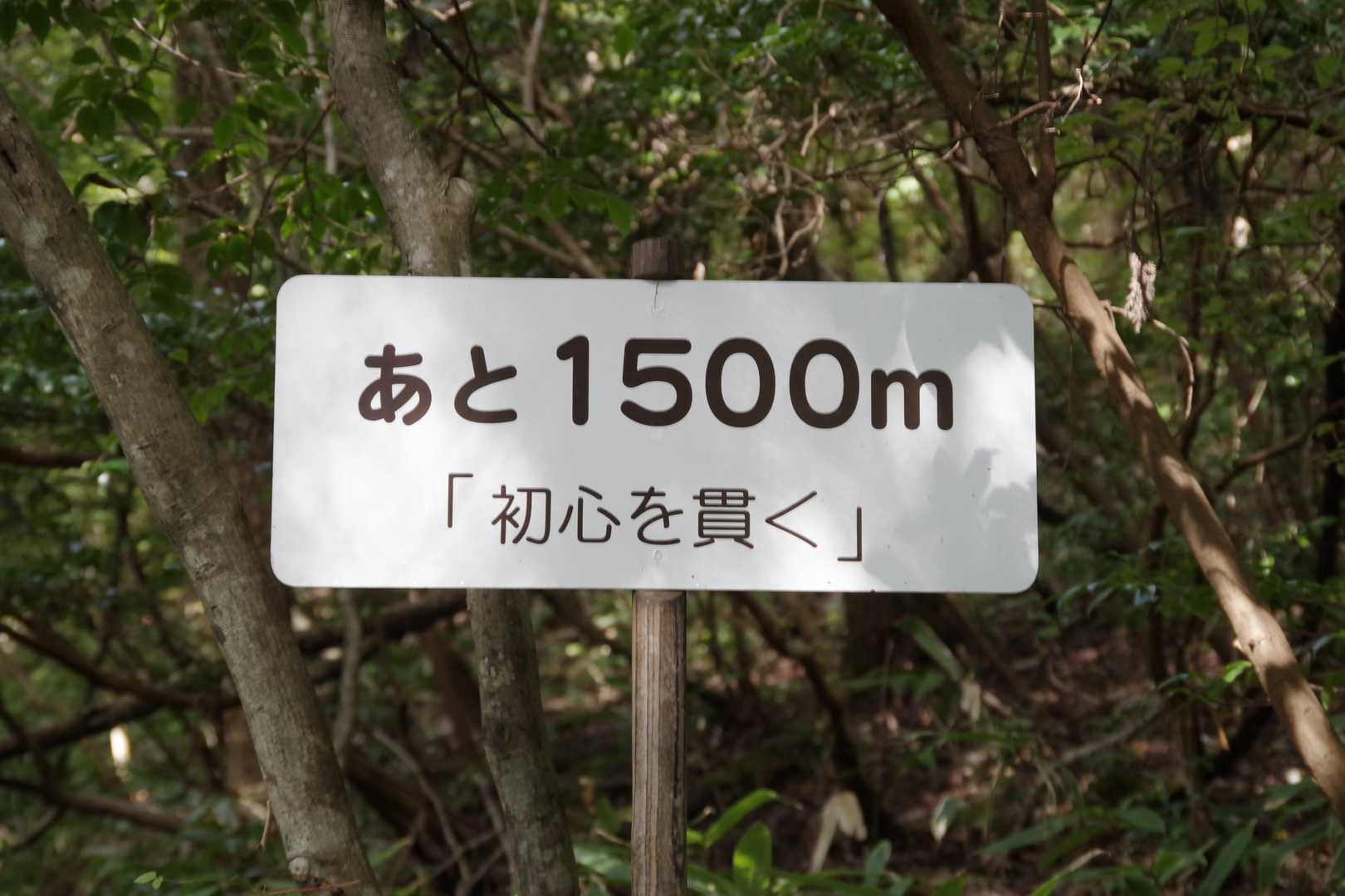 初心？？