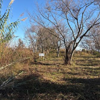 登山入り口から10分で山頂⛰️
