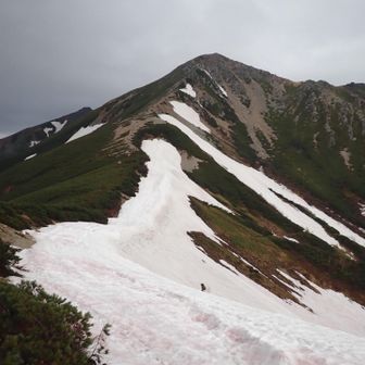 明朝の鷲羽岳へのルート確認
残雪は写真部分のみ