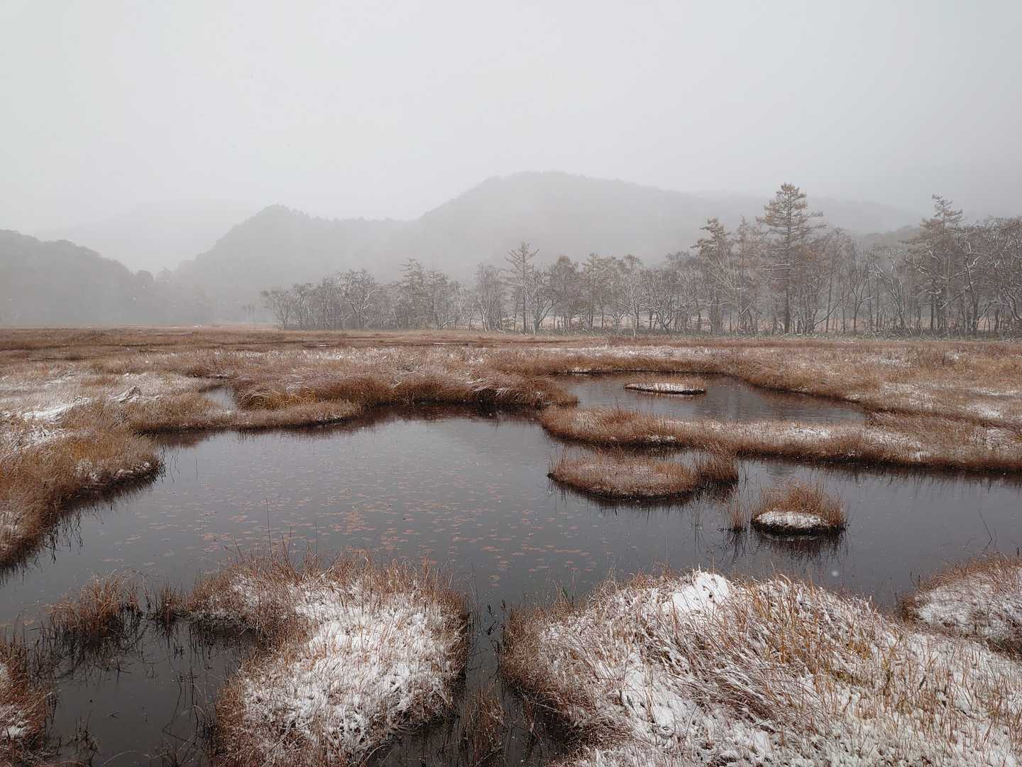池塘が出てきましたよー😍
水の中の雪はシャーベットになっています