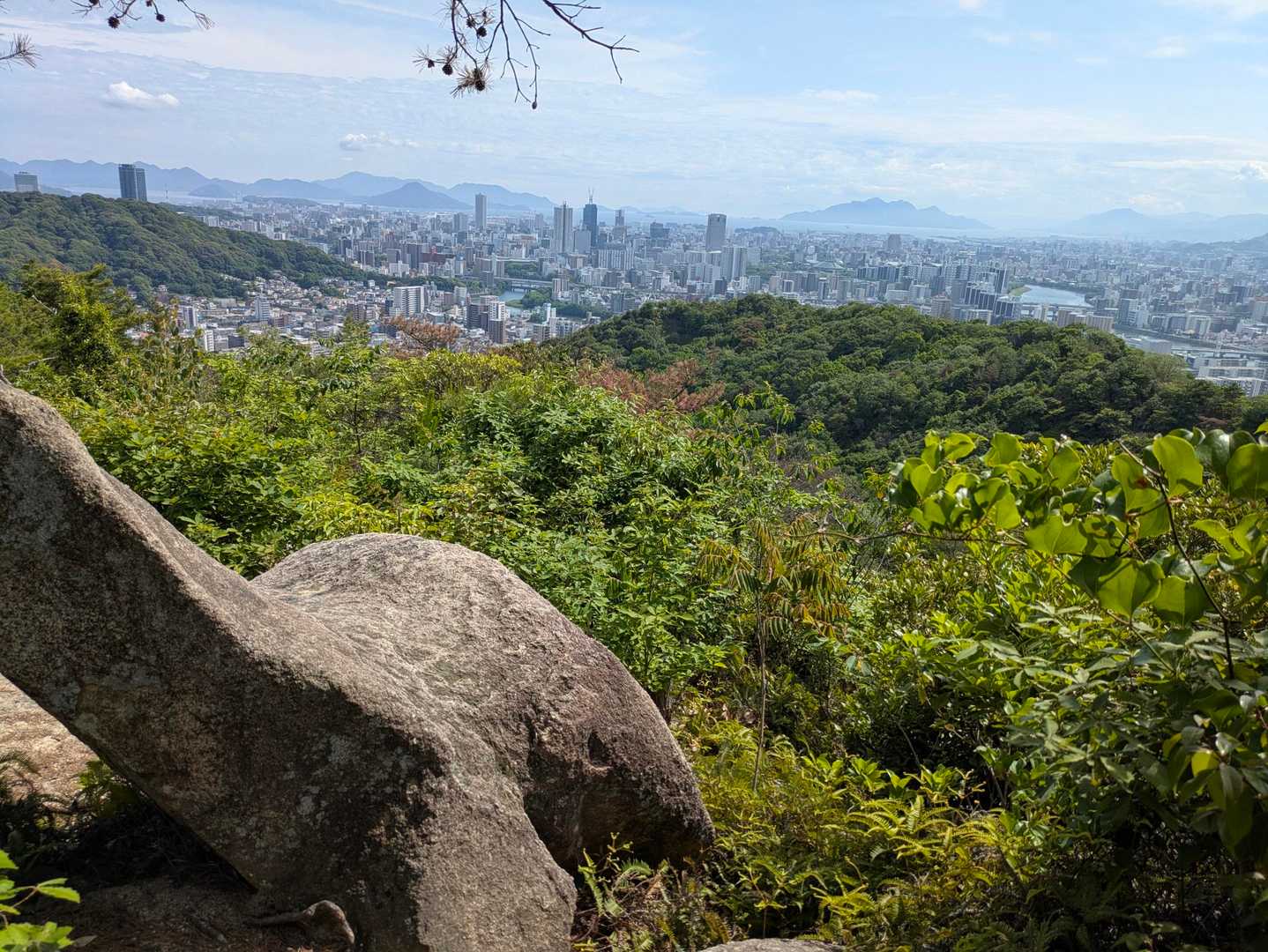 山山 山山 山山 ZGトレックGTX(39 チタニウム): スカルパ | ロストアロー
