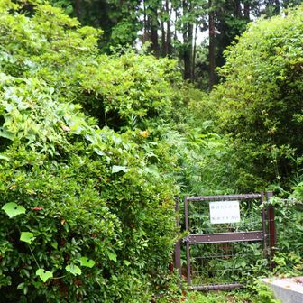 そしてその右が登山口のはずですが、見当たらず、もしかして、と思ったのがこちら。
