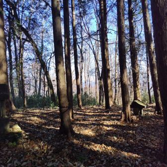 尾根を上がって行くと沢山の石碑の有る信仰のお山です
