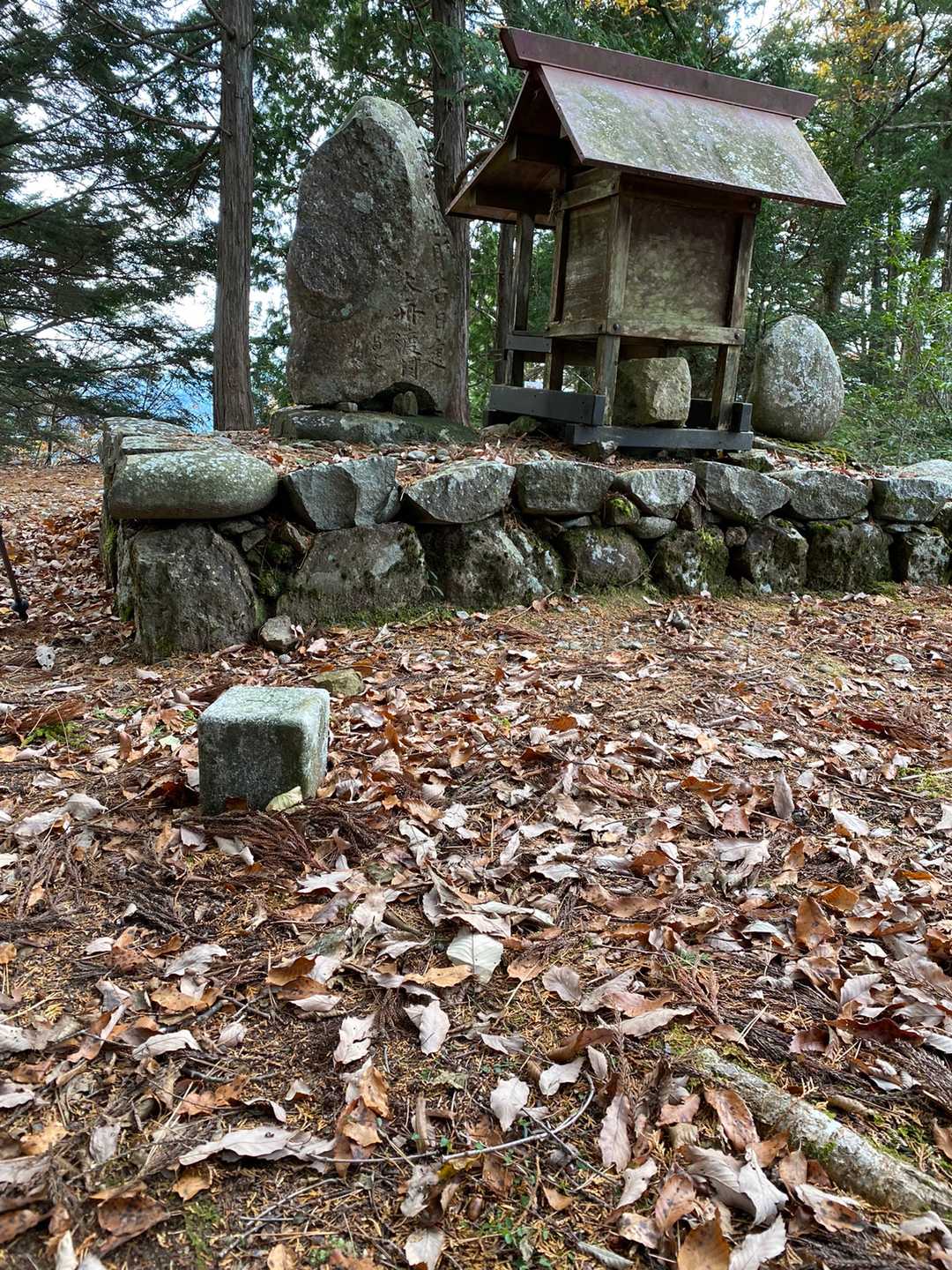 三角点は頂上に祀られた三山大権現の後ろにあります。