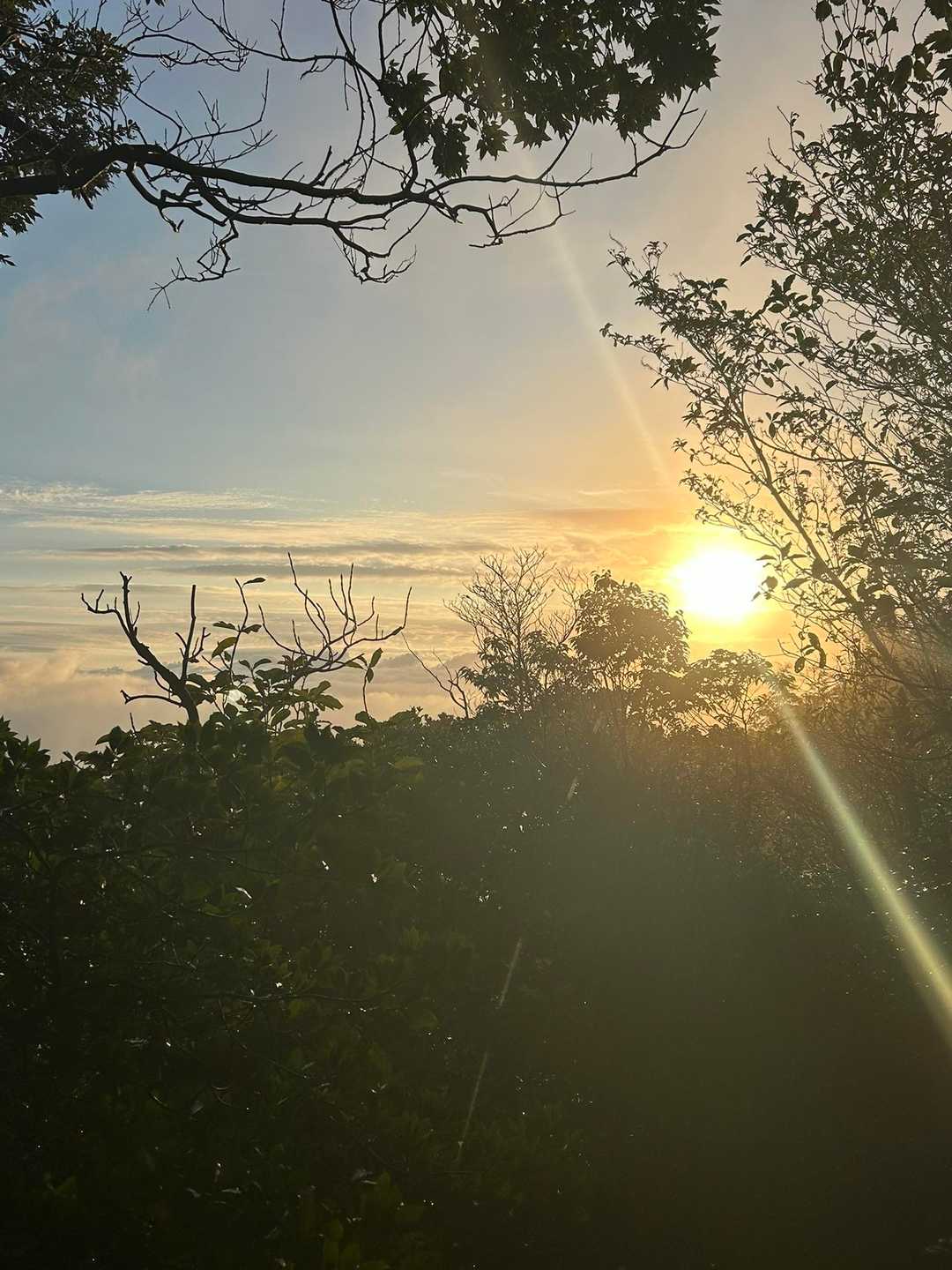 高地山に向かう途中で朝日見れました