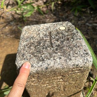 西野山…三角点