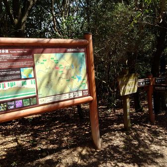 昨日知りあいに、ここから鬼ヶ鼻まで20分くらいだと言ったがだいたいそれくらいだね🤗