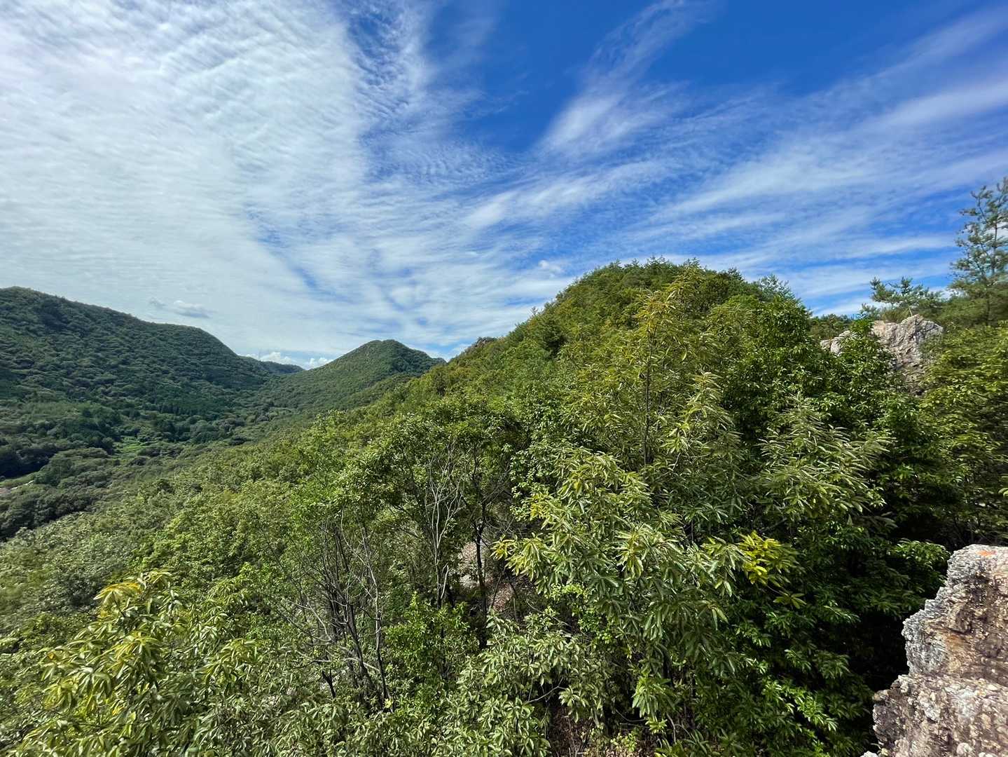 どんぐり三連山、いちばん奥は芥見権現だと思います。どんぐり山はその手前から。