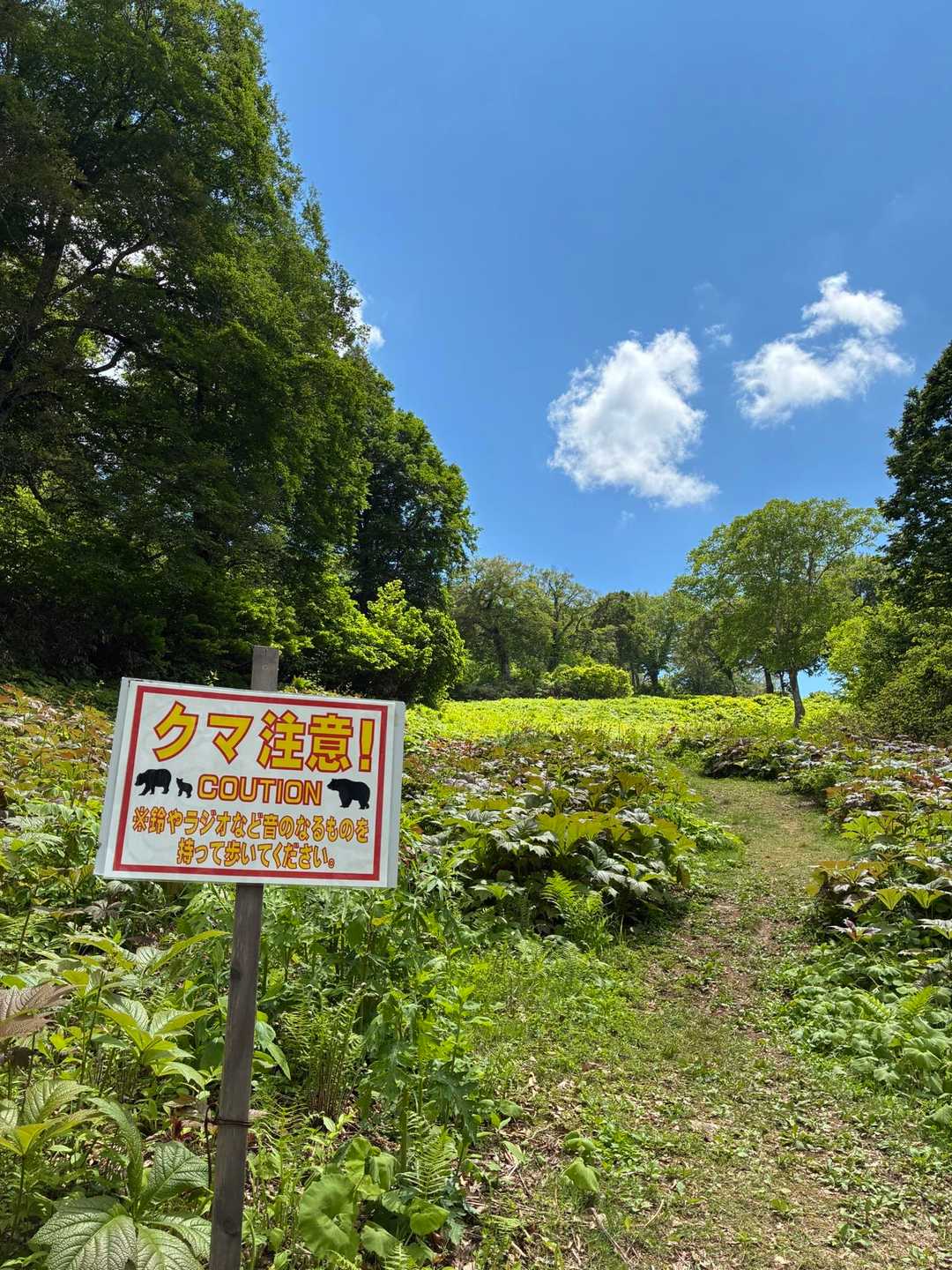 🐻注意⚠️でした。