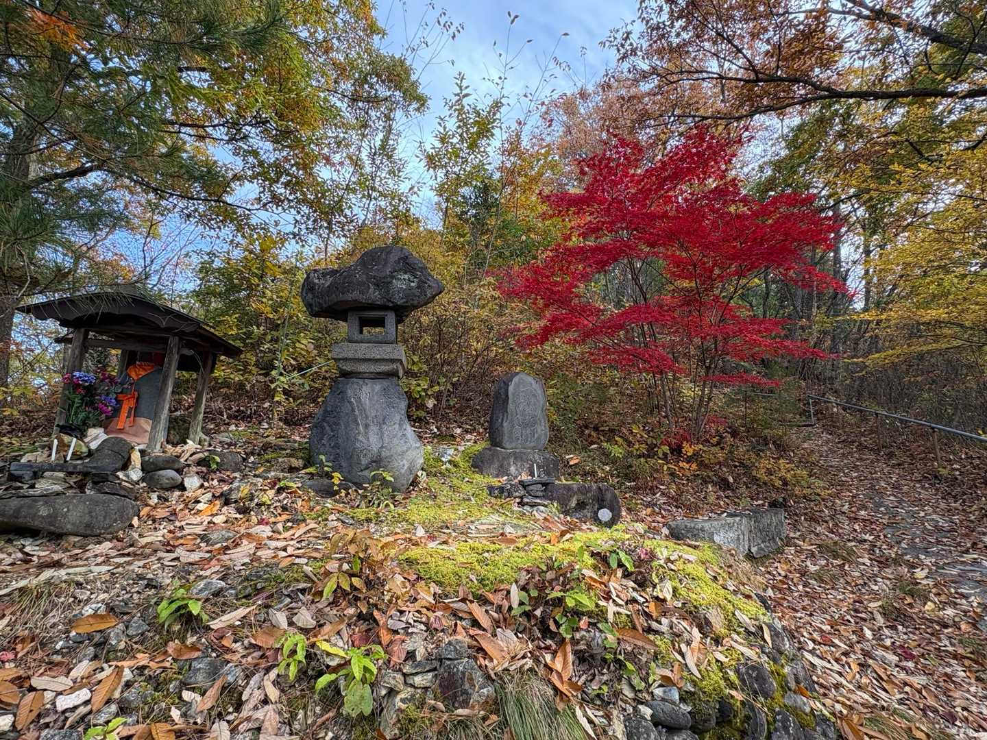 小菰石山-大岡山 往復コースの写真