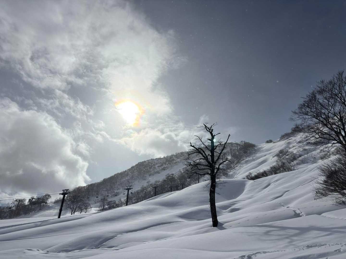 ランチ休憩中に写真撮りました！