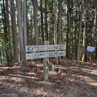 二子山　低い方(雌岳)
こっちは看板あり