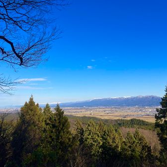無理すればよかった😂